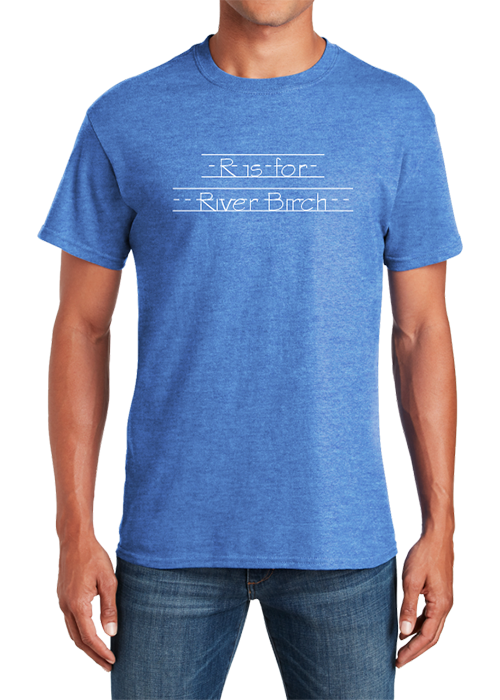 River Birch Softstyle T-shirt Heather Royal - YSD